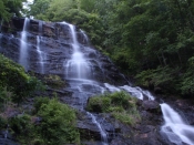 amicalola0620