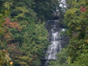 amicalola1126