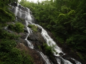 amicalola1890