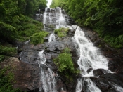 amicalola1904