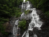 amicalola1914