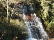 connesteefalls3782