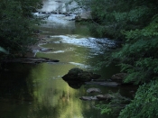 dickscreek3277