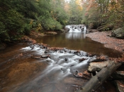dickscreek4779