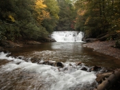 dickscreek6521