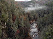 linvillefalls0826