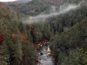 linvillefalls0828