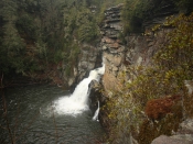 linvillefalls3681