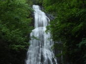 mingo0097