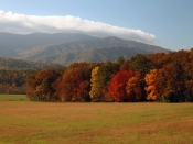 scenery0243