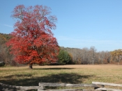 scenery0249