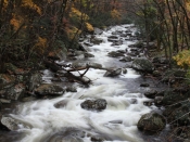 streams0776