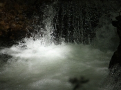 streams7318