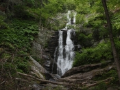 tomscreekfalls1429