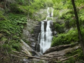 tomscreekfalls1431