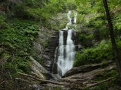 tomscreekfalls1433